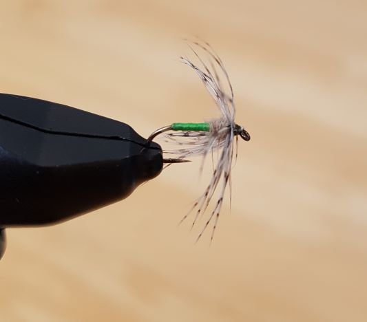 Partridge Fly
