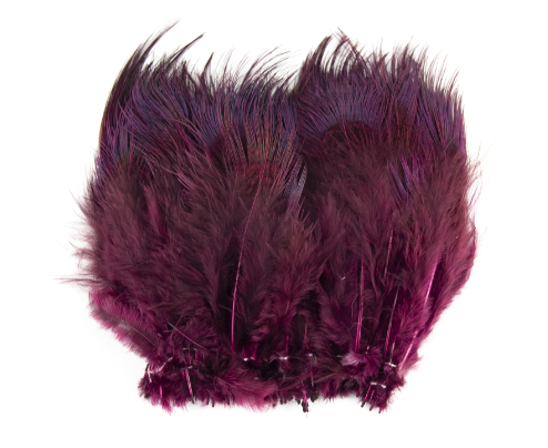 Shor Ring-Necked Pheasant Rump