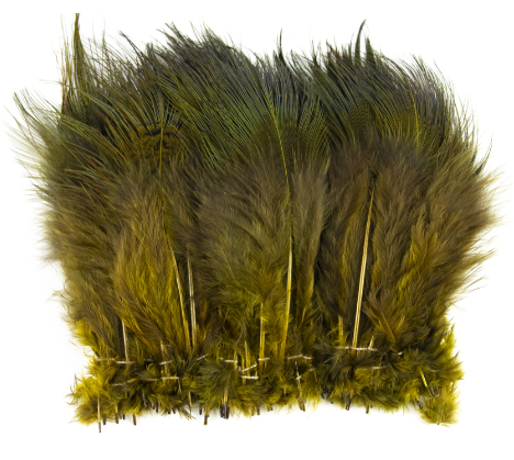 Shor Ring-Necked Pheasant Rump