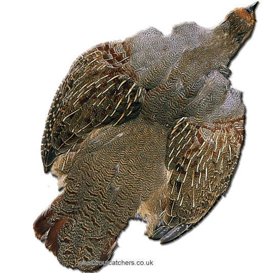 English Partridge Skin